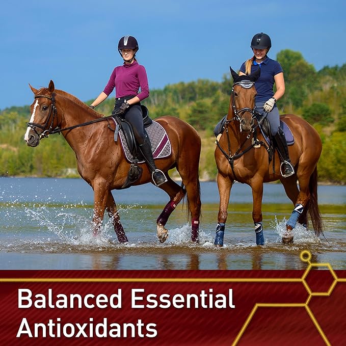 Pro E and Horse Selenium Supplement, Balanced Essential Antioxidants, 20 Pound, 320-Day Supply