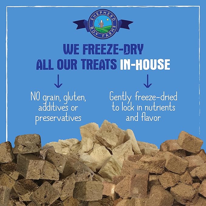 Freeze Dried Dog and Cat Treats, Beef Liver, All Natural Single Ingredient Freeze-Dried Dog Treat & Snacks, Made in USA, High Protein, Essential Nutrition of Raw Food, 3oz