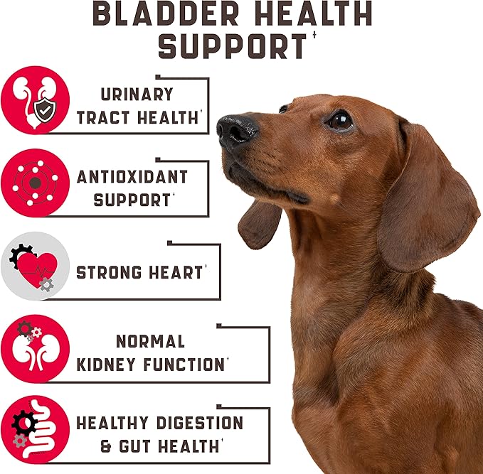 Dog UTI Treatment 180 Chews w Cranberry, Natural UTI Medicine for Dogs - Pet Supplement for Dog Urinary Tract Infection Treatment, Good for Bladder Control, Dog Incotinence, Kidney Health, Dog Breath
