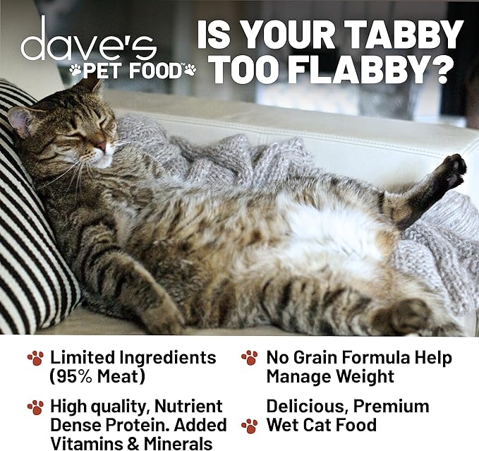 Dave's Pet Food Grain Free Wet Cat Food (95% Chicken & Chicken Liver Pate), Made in Canada Naturally Healthy Canned Cat Food, Added Vitamins & Minerals, Wheat & Gluten-Free, 5.5 oz (24 Pack)