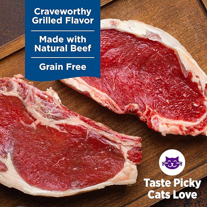 Wellness Complete Health Grilled, Adult Wet Cat Food, Natural, Protein-Rich, Grain-Free, Canned, 3 Ounce, 12 Pack, (Beef and Lamb Dinner Recipe)
