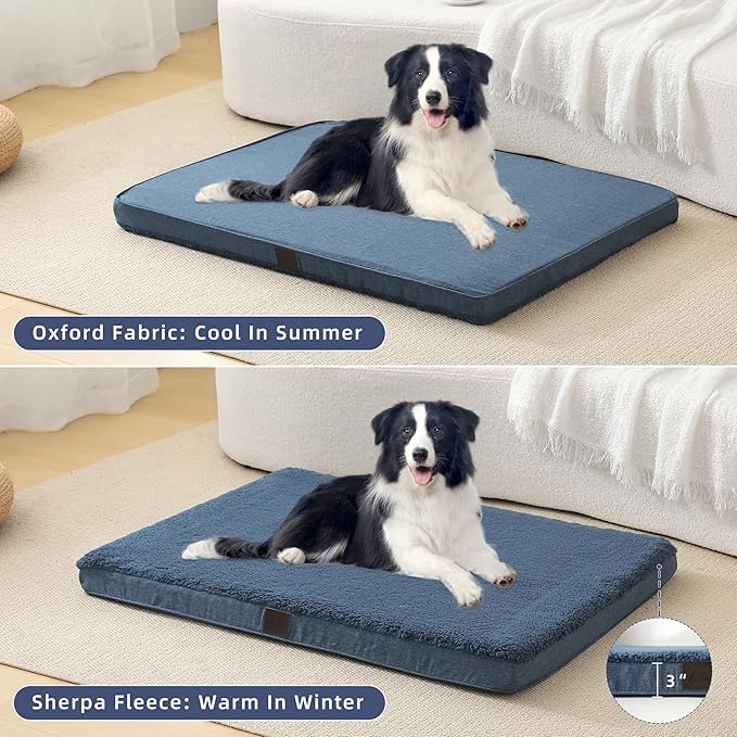 DaysU Large Dog Bed for Large Dogs, Orthopedic Dog Beds with Removable Washable Cover, Egg Crate Foam Pet Bed Mat, Light Navy, Suitable for Dogs Up to 65 Ibs, 36x27x3in