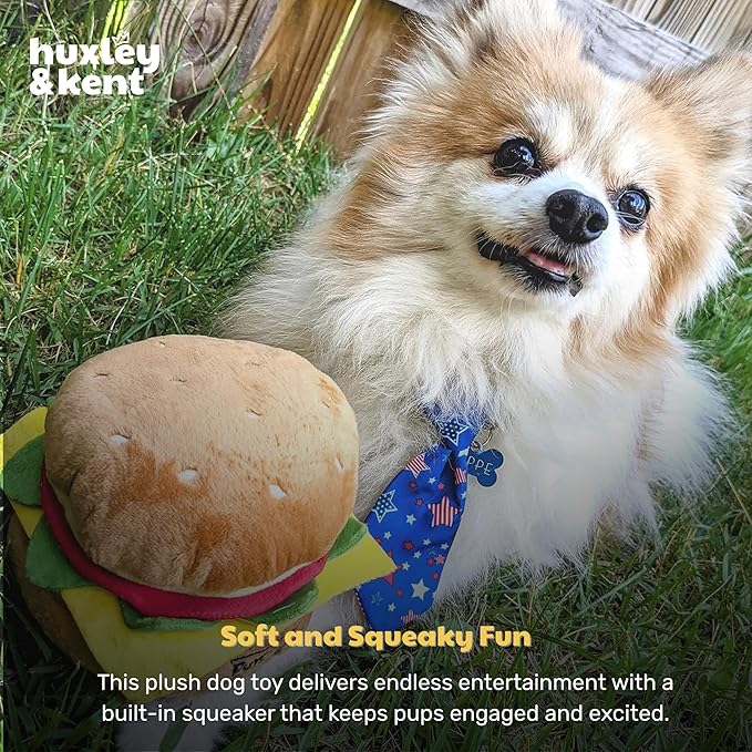 Huxley & Kent Funny Dog Toy w/Squeaker – Power Plush Squeaky Dog Toys for Small, Medium & Large Dogs – Soft Stuffed Animal for Indoor Play & Fetch - Hamburger, Large