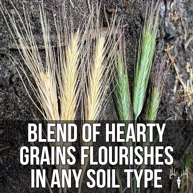 Last Resort Blend, 50LB Bulk, Winter Food Plot Seed for Deer, Cereal Grain Rye, Wheat, Barley, Triticale & Oat Seeds Grow Whitetail & Turkey Attractants & Cold Hardy Hunting Food Plots