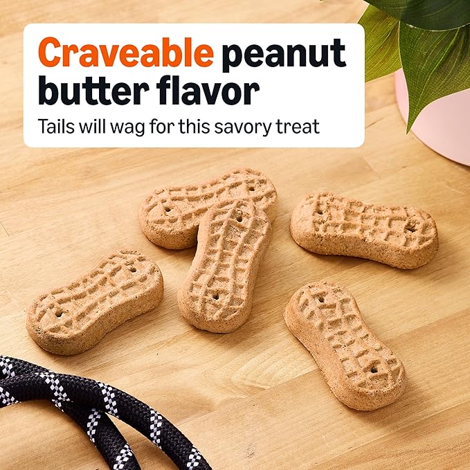 Amazon Basics Peanut Butter Flavor Biscuits Dog Treats 5 lb. Box