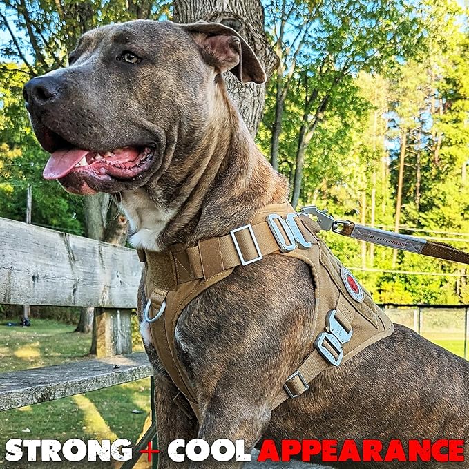 Pink Tactical Dog Harness with 4 Metal Buckles; Waterproof, Military Grade Dogs Vest; no-pulls but Does not Choke Neck; Heavy-Duty Dog Tactical Harness for Large Dogs; Vest Pink (L)