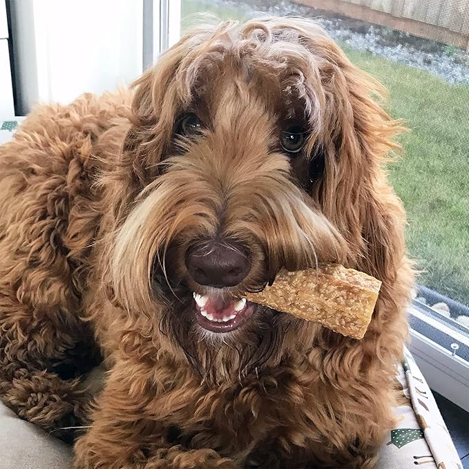 Himalayan Dog Chew Happy Teeth Yak Cheese, Soft Dog Chews, 100% Natural Soft Density Dental Treats, Gluten Free, Safe Treats for Oral Health, Lactose & Grain Free, Protein Rich, (Flavor) 2 Count
