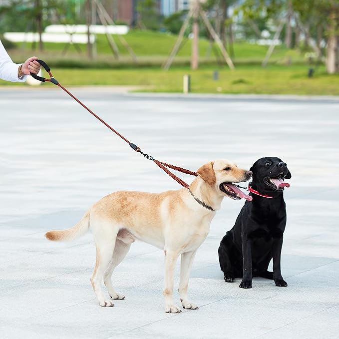 iYoShop Dual Dog Leash - 360° Swivel, No Tangle Walking Leash with Shock Absorbing Bungee for Two Dogs (Large, 25-150 lbs, Brown)