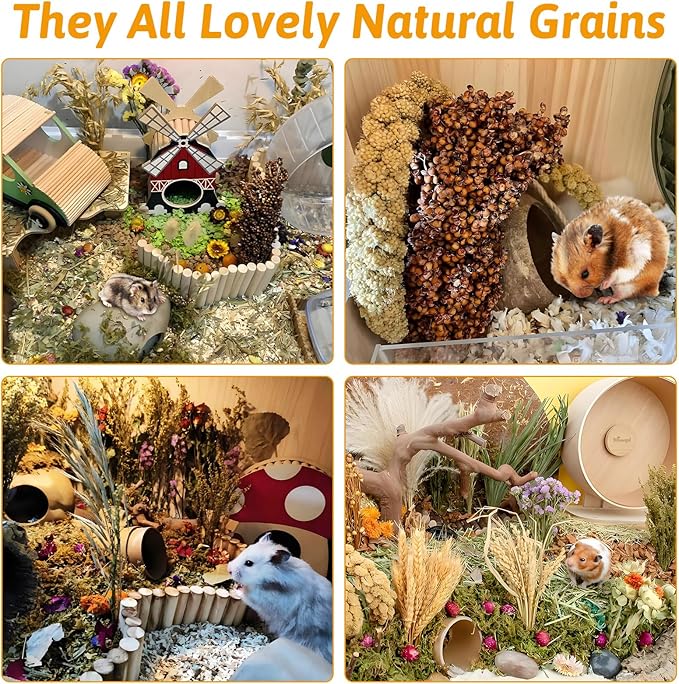 Fhiny Natural Hamster Bedding Mate, Edible Hamster Sprays Flowers & Herbs Gerbil Habitat Enclosure Decor Grain Treats Cage Accessories for Dwarf Syrian Hamster Lemming Degus Gerbil Mice