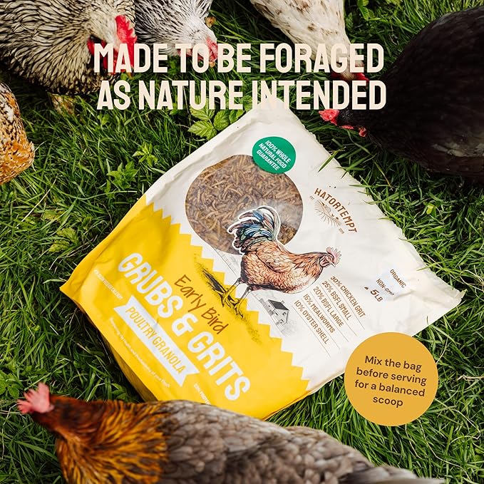 5lb Grubs & Grits Organic Chicken Feed - 3 Grub Blend with Oyster Shells & Grits - Dried Mealworms for Chickens Plus Large & Small Black Soldier Fly Larvae - Food Designed for Foraging