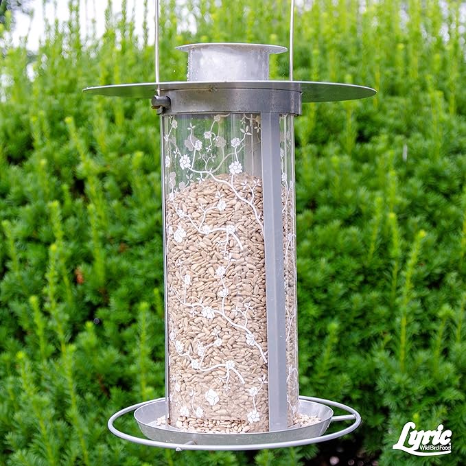 Lyric Sunflower Kernels Wild Bird Seed for Outside Feeders, No Waste Bird Food, Attracts Finches and More, 25 lb Bag