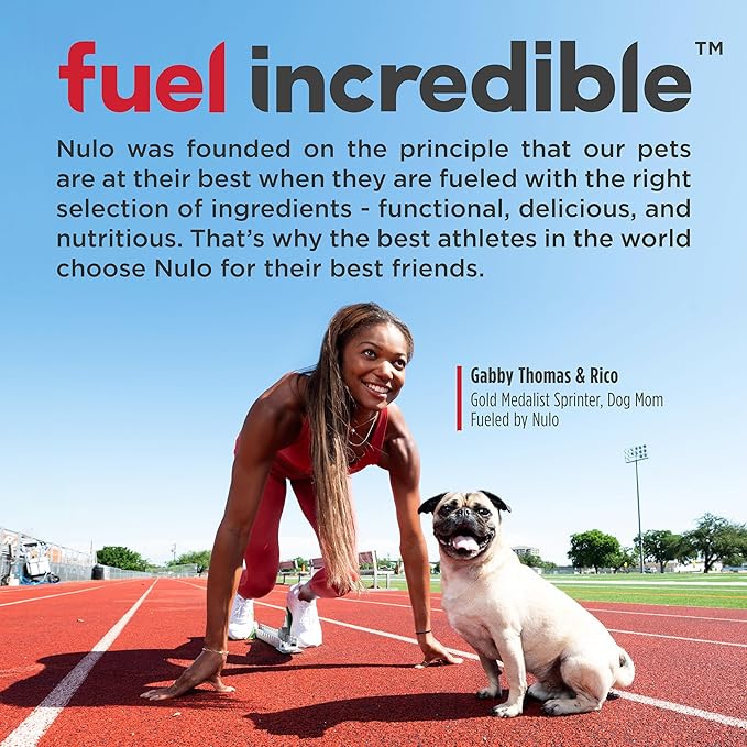 Nulo Freestyle All Breed Dog Food, Premium Allergy Friendly Adult & Puppy Grain-Free Dry Kibble Dog Food, Single Animal Protein with BC30 Probiotic for Healthy Digestive Support 24 Pound (Pack of 1)