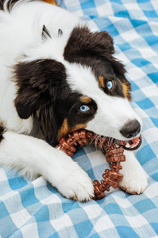 Nylabone Textured Ring Power Chew Toy for Large Dogs, Durable Dog Toys for Aggressive Chewers, Strong Dog Chew Bones To Keep Them Busy, Flavor Medley, X-Large - 50+ lbs, 1 Count