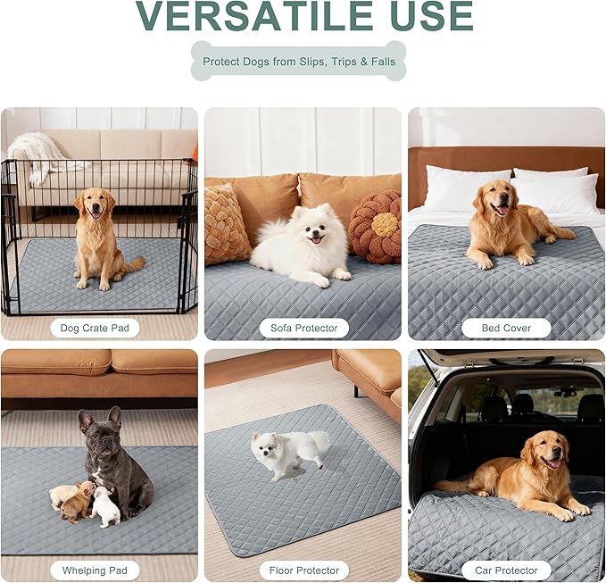 Eterish Reusable Washable Pee Pads for Dogs Large/Extra Large 31'' x 36'' 4 Pack, Absorbent Pet Puppy Dog Training Pads Non-Slip, Waterproof Whelping Potty Pads for Dogs Leak-Proof