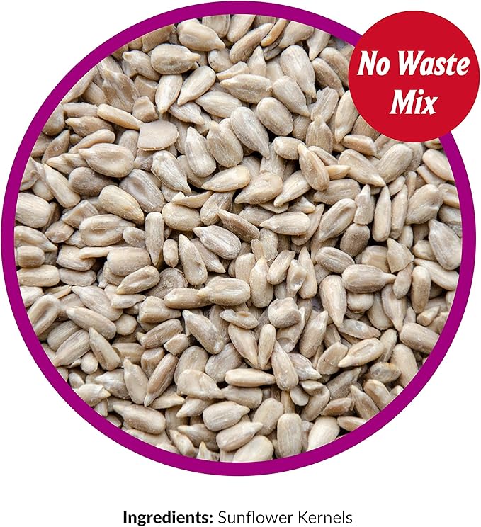 Lyric Sunflower Kernels Wild Bird Seed for Outside Feeders, No Waste Bird Food, Attracts Finches and More, 25 lb Bag