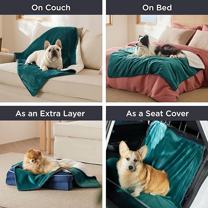 Bedsure Cat Blanket for Indoor Cats - Waterproof Calming Cat Blankets for Kitten, Sherpa Fleece Pet Blanket, Soft Plush Reversible Throw Furniture Protector, 35"x25", Green
