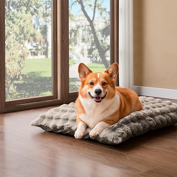 WDCOZY Fluffy Dog Crate Beds for Large Dog, Plush Faux Fur Kennel Pad with Removal Washable Cover, Soft Pet Mat for Sleeping & Ease Anxiety, Anti-Slip Bottom for Pet Up to 60 lbs, 36"x23", Beige