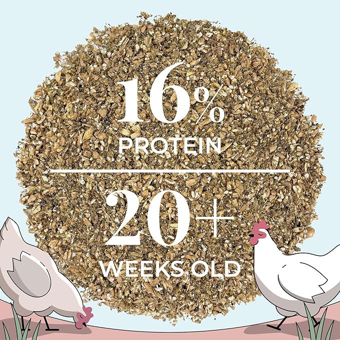 Layer Organic Chicken Feed | 16% Protein | Mash | Certified Organic, Non-GMO, Corn-Free, Soy-Free, Non-Medicated, US Grown Chicken Feed | 46 lbs