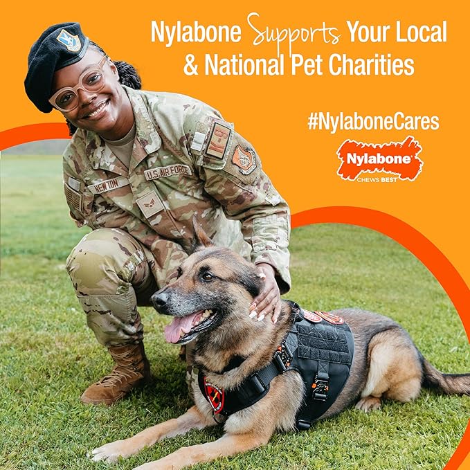 Nylabone Original Bone Power Chew Toy for Dogs, Durable & Tough Dog Toys for Aggressive Chewers, Original Flavor, Large - Up to 50 Ibs, 1 Count