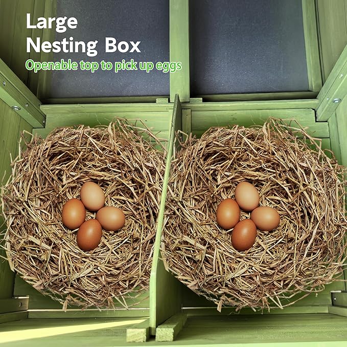 11.12 ft² Large Wooden Chicken Coop with 2 Nesting Boxes & Perch – Outdoor Hen House for 3–4 Chickens, Waterproof Poultry Cage with Free-Range Doors & Predator-Proof Locks Green