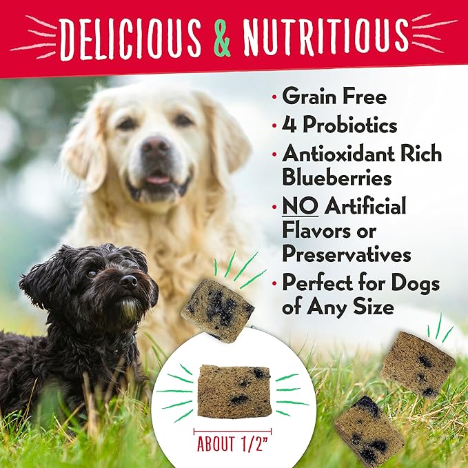Charlee Bear Grain Free Meaty Bites Freeze Dried Dog Treats with Probiotics, Puppy Training Snacks, Soft Dog Bites Chicken with Blueberries, 2.25 oz Bags (2), Made USAA