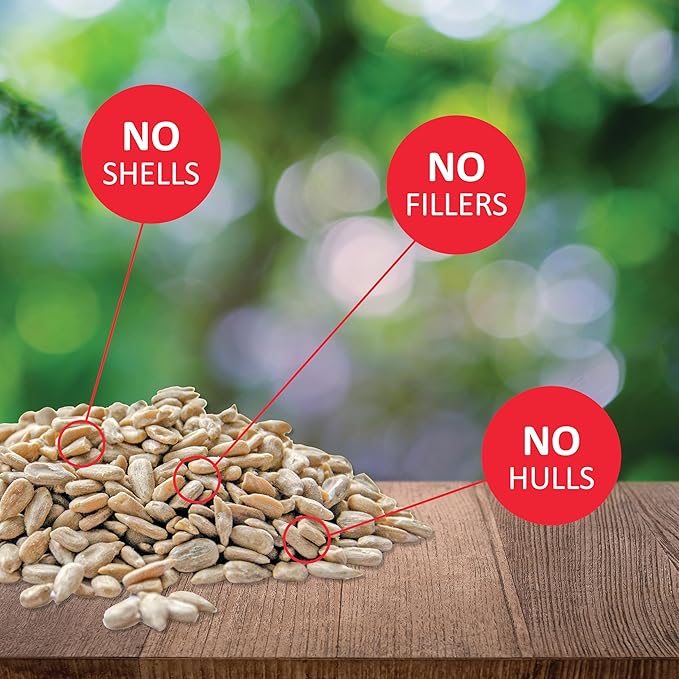 Lyric Sunflower Kernels Wild Bird Seed for Outside Feeders, No Waste Bird Food, Attracts Finches and More, 10 lb (Pack of 2-5 lb. Bags)