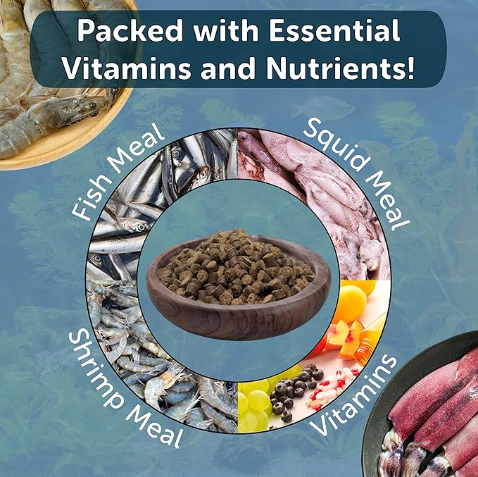 Aquatic Foods Inc. Axolotl Pellet Food 1/4" Soft Moist Sinking Pellets for Juvenile Axolotl Also Shrimp, Snails, Crayfish, Bottom Tropical Fish, Blackworm Pellets Included 6oz Canister