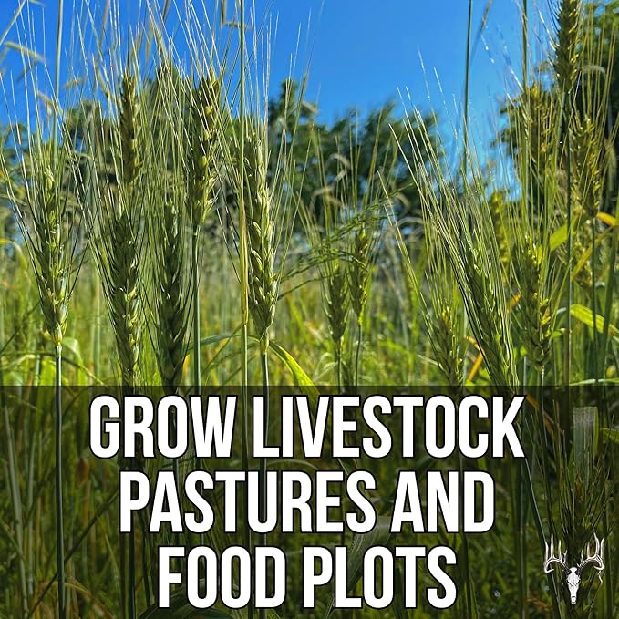 Last Resort, 25LB Bulk Size, Food Plot Seed for Deer, Mix of Cereal Grain Rye, Wheat, Triticale, Barley, & Oats, Pheasant, Turkey, Dove, Wildlife & Whitetail Hunting Foodplots & Pasture