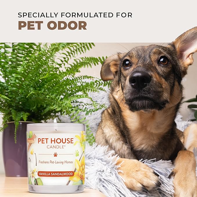 One Fur All Pet House Fall Candles, Long Lasting, Clean Burning, Soy Wax Scented Candles for Pet Odor, Fireside