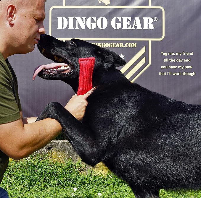 Dingo Gear French Linen tug Toy for Dog, Dog Bumper for Training, Agility, tug of war, Dog bite Pillow for Strong Dog, 1handle 8" Orange S00086
