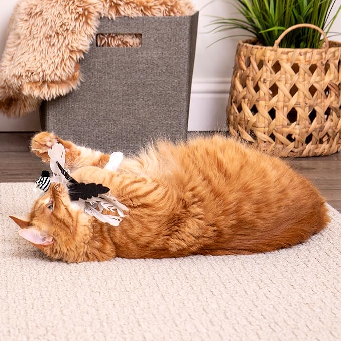 SmartyKat Instincts HappyNip Zingy Zebra Feathered Toss & Chase Interactive Cat Toy, Contains Catnip & Silvervine - White/Black, One Size