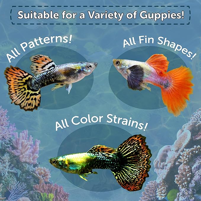 Aquatic Foods Inc. Flakes, Premium Guppy Flakes Also for Tetras, Live Bearers Great for All Community Tropicals. Premium AF Guppy Flakes - 1-lb