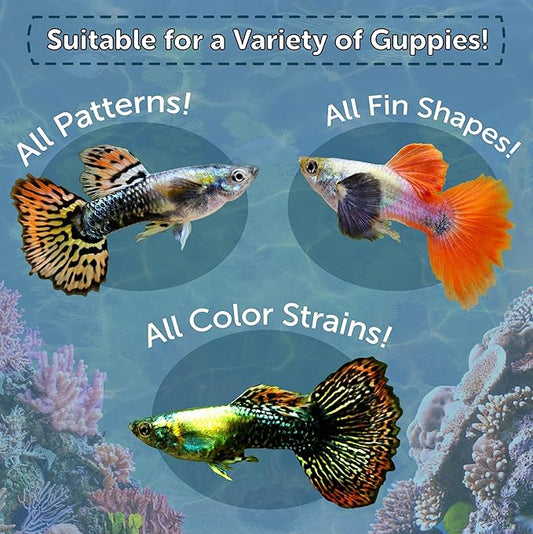 Aquatic Foods Inc. Flakes, Premium Guppy Flakes Also for Tetras, Live Bearers Great for All Community Tropicals. Premium AF Guppy Flakes - 2-lbs