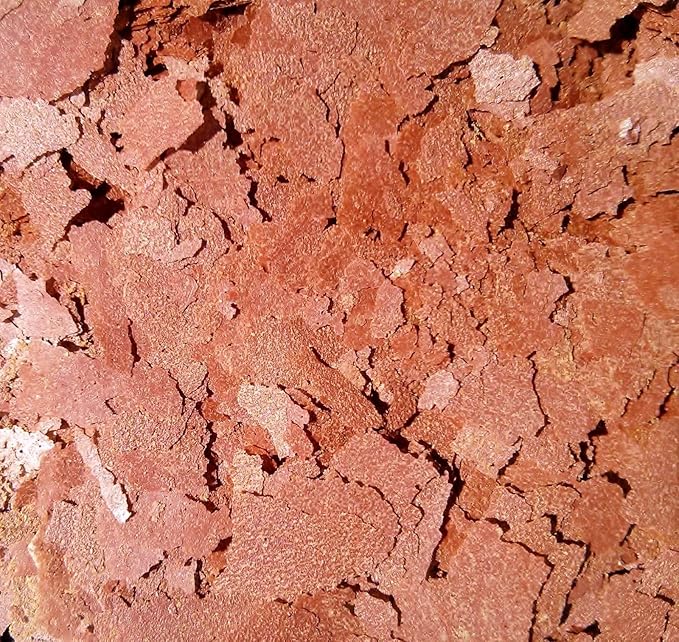 Aquatic Foods Inc. Bloodworm Flakes, High Protein Bloodworm Flakes for Discus, Cichlids, Tetras, Guppies, Live Bearers, All Community Tropical Fish - Premium AF Flakes - 1/2-lb