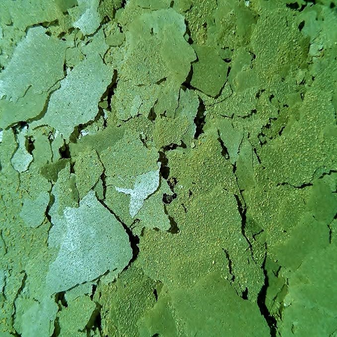 Aquatic Foods Inc. Cichlid Green GRO Spirulina Flakes, Discus, Angel Fish, Central & South American Cichlids for All Tropical Fish. Premium AF Flakes - 1/2-lb