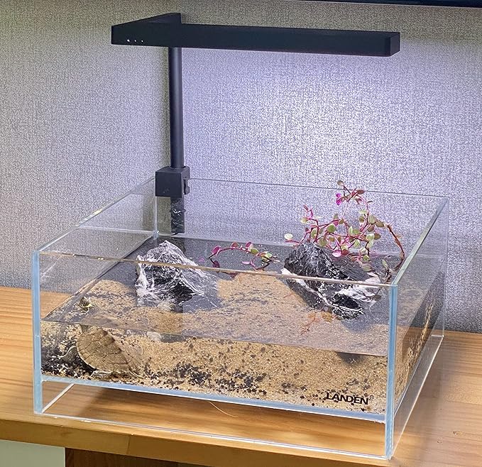 LANDEN Glass Air Aquarium Tank Multi-Scene Landscape Aquarium, 1.6Gallon Rimless Low Iron Shallow Tank,10.63" W×10.63" D×4.72" H (27cmx27cmx12cm) 5mm Thickness