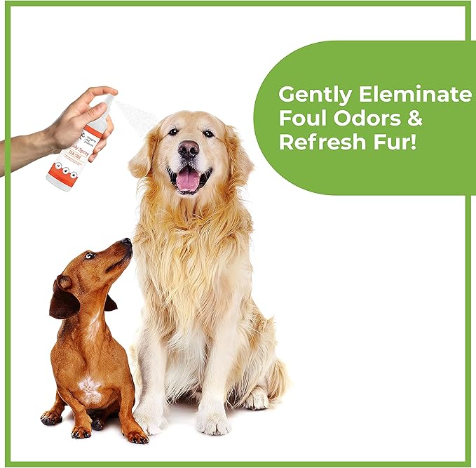 Dog Deodorizing Spray – Long-Lasting Dog Cologne & Pet Odor Eliminator – Sugar Cookie Scented Dog Perfume for Smelly Dogs – Safe, Refreshing Dog Grooming Spray