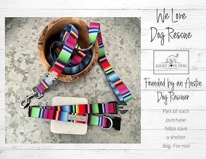 Lucky Love Dog - Adjustable Dog Collar and Leash Set with Easy Click Buckle for Small to Large Dogs, Durable, & Comfortable Collar for Male & Female Dogs, Puppies & Adult Ones - Nacho Combo, Large