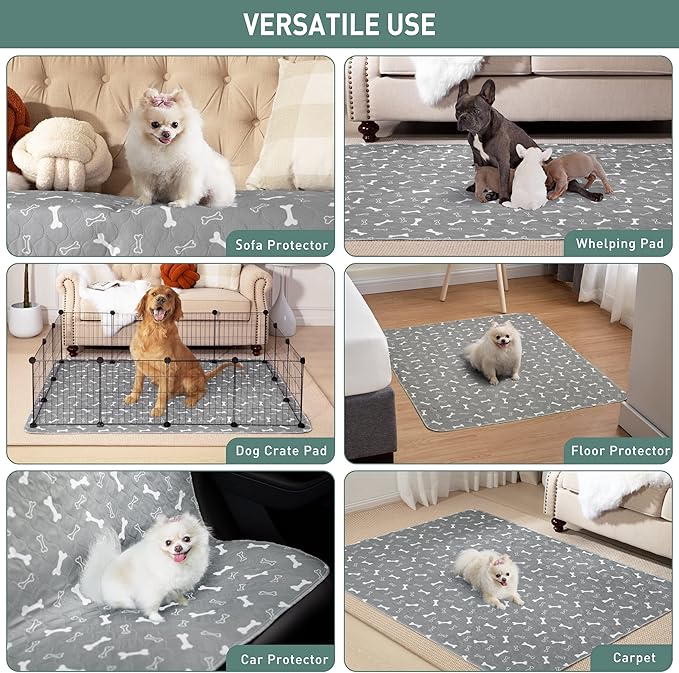 Eterish Reusable Washable Pee Pads for Dogs Extra Large 36'' x 48'' 2 Pack, Absorbent Pet Puppy Dog Training Pads Non-Slip, Waterproof Whelping Potty Pads for Dogs Leak-Proof