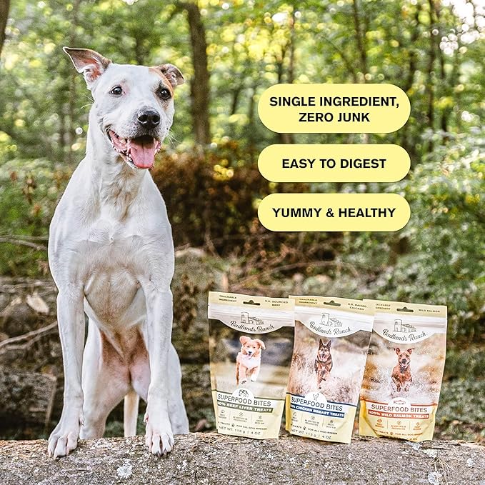 Superfood Bite, Freeze-Dried Raw Dog Treats - Protein Rich, Train & Reward, Traceable Single Ingredient by Katherine Heigl (Wild Salmon)