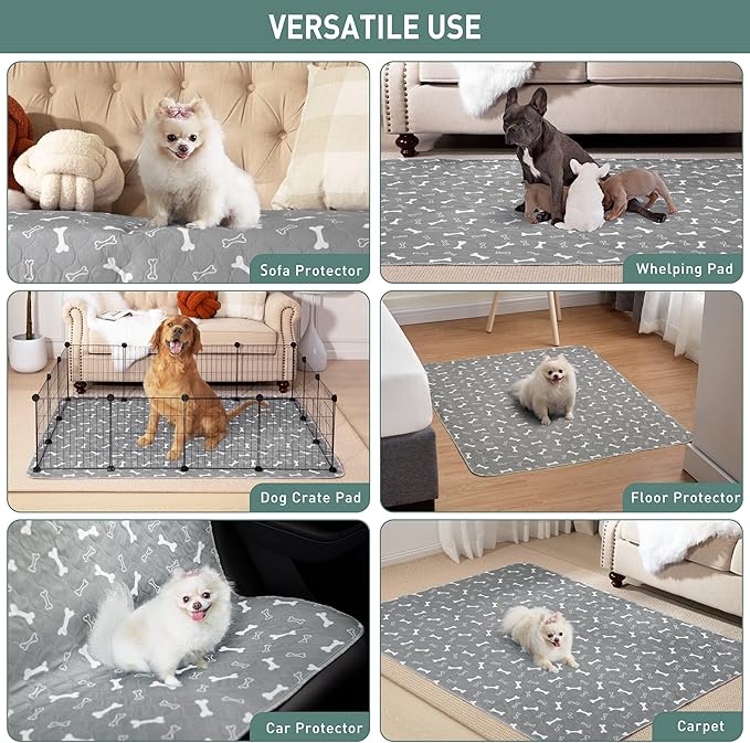 Eterish Reusable Washable Pee Pads for Dogs Large/Extra Large 36'' x 36'' 2 Pack, Absorbent Pet Puppy Dog Training Pads Non-Slip, Waterproof Whelping Potty Pads for Dogs Leak-Proof