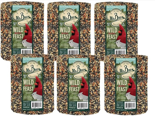 Mr. Bird Wild Bird Feast Birdseed Cylinder - 6 Diameter