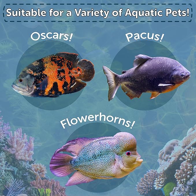 Aquatic Foods Inc. Crickets, Freeze Dried Crickets for Large Tropical Fish, Monster Fish, Reptiles, Turtles, Tortoises, Frogs, Hamsters, Birds, Rodents 1.0oz Canister