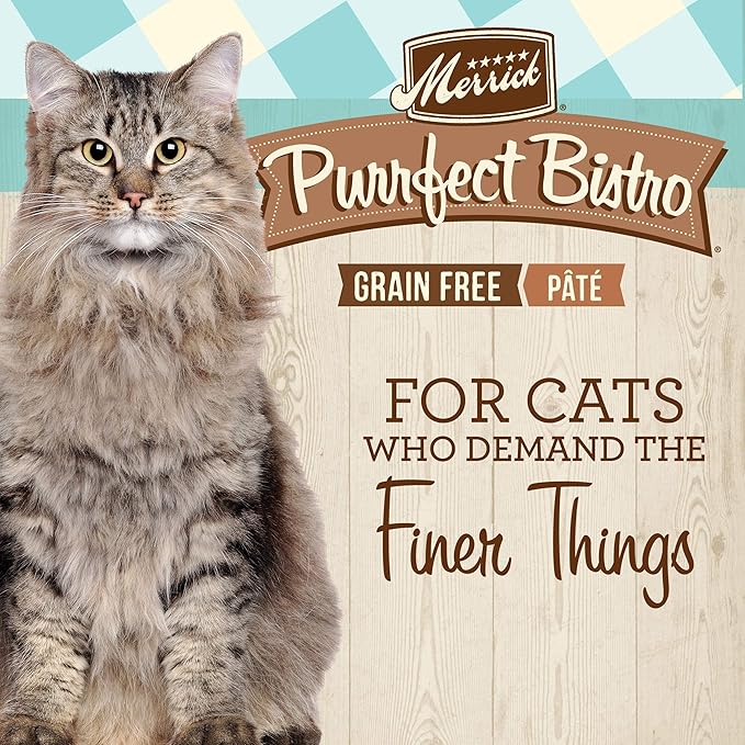 Merrick Purrfect Bistro Grain Free Premium Soft Canned Pate Adult Wet Cat Food, High Protein Salmon Recipe - (Pack of 24) 3 oz. Cans