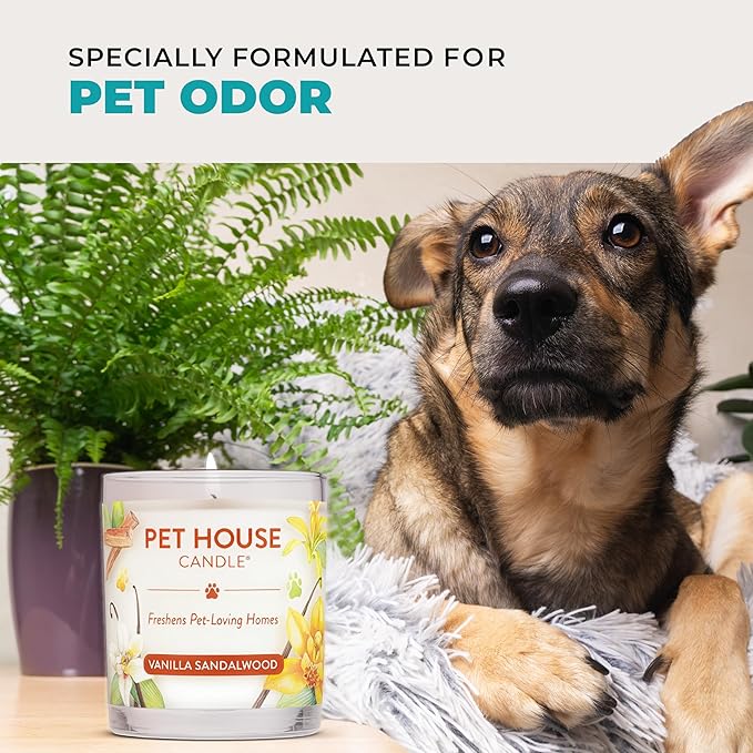 Pet House Candles, Plant-Based, Long Lasting Scented Pet Friendly Candles for Home - Mediterranean Sea