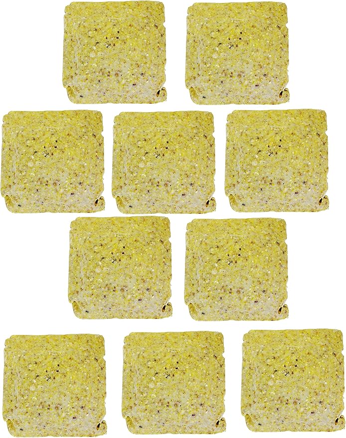 Suet Cake Variety Packs | 11 oz. Wild Bird Suet Cakes | (Pecan, 10 Pack)