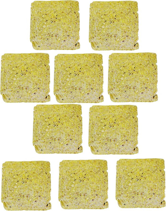 Suet Cake Variety Packs | 11 oz. Wild Bird Suet Cakes | (Pecan, 10 Pack)
