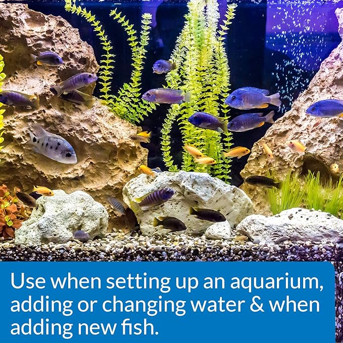 API QUICK START Freshwater and Saltwater Aquarium Nitrifying Bacteria and API TAP WATER CONDITIONER Aquarium Water Conditioner Bundle
