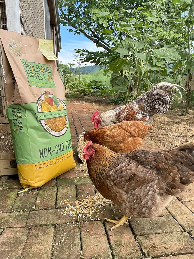 Corn & Soy-Free Chick Starter Feed - All Grain & Non-GMO Chick Food Starter with Omega 3 - Chicken Feed for Growing Healthy Chicks with High-Protein 22% and Probiotics - 40 Lb