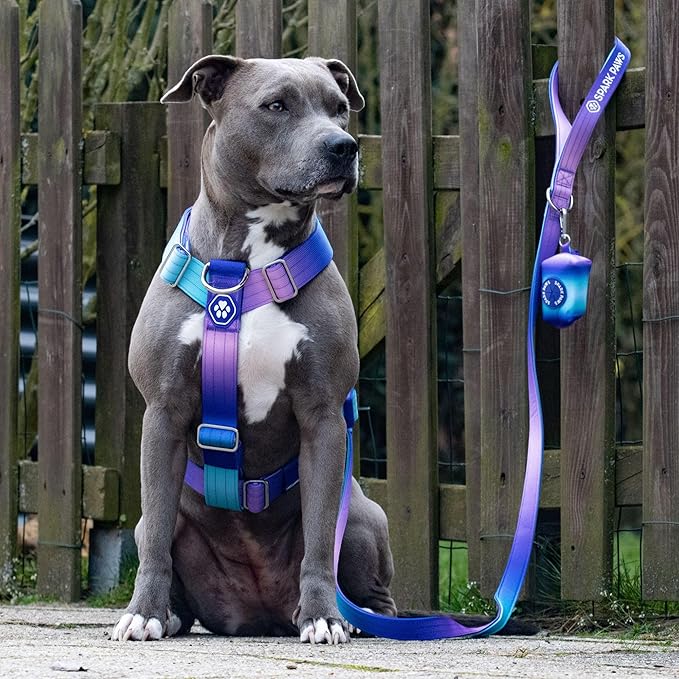 Spark Paws No Pull Dog Harness for Large Dogs, Heavy Duty Dog Harness for Big Strong Breeds, Adjustable, Y Shaped Padded Halter Design with Front Clip - 90s Retro – S
